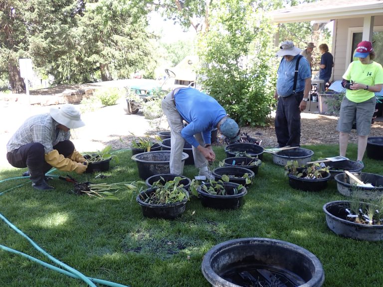 62-JPF-CWGSPlatSales-20220603-6030356