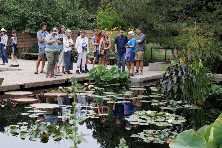 88-JPF-WaterBlossomCelebration-20230812-7497